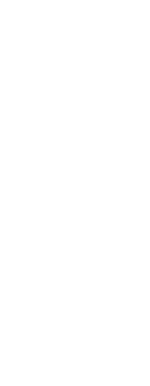 Vector 4